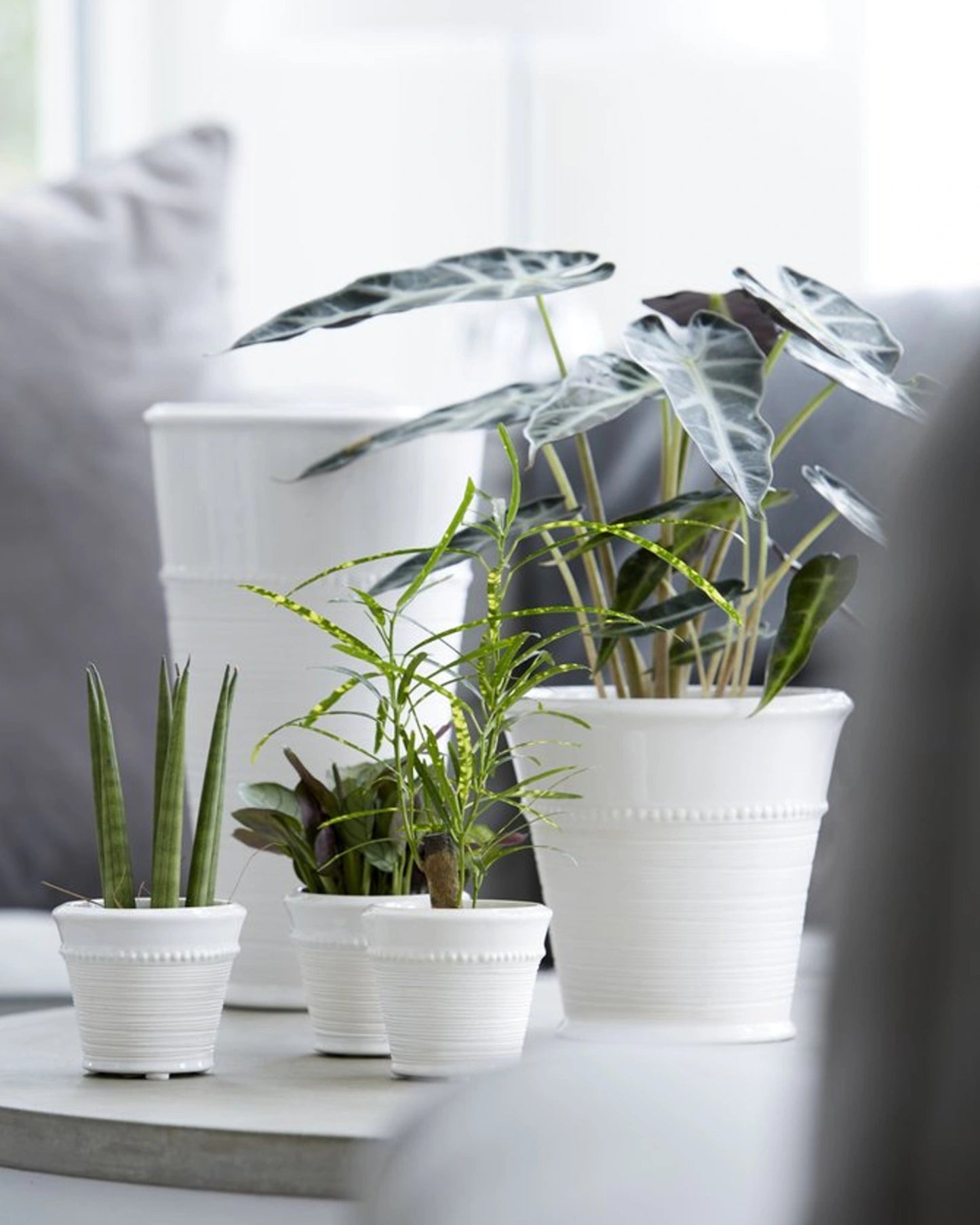 Livia kruka 14 cm - Korg & Hantverkshuset