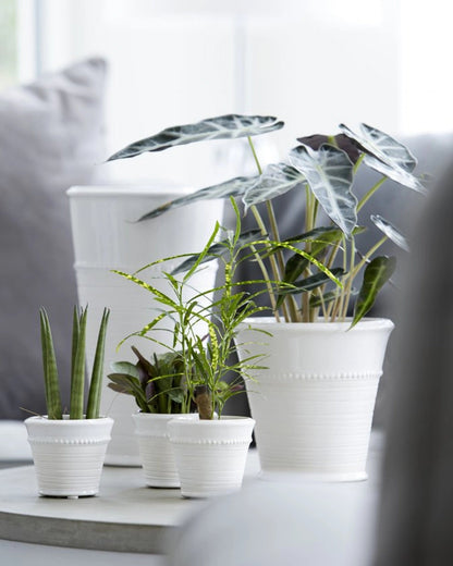 Livia kruka 14 cm - Korg & Hantverkshuset