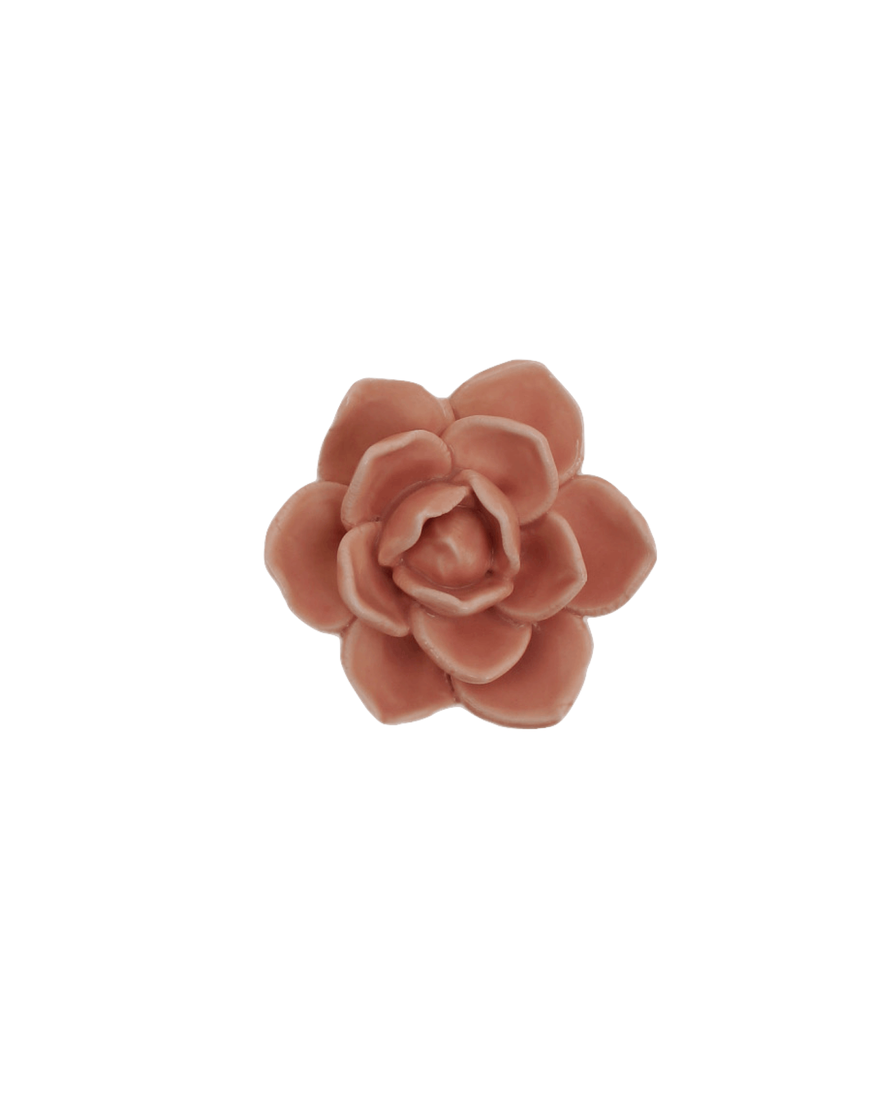 Happy flower mini Rosa