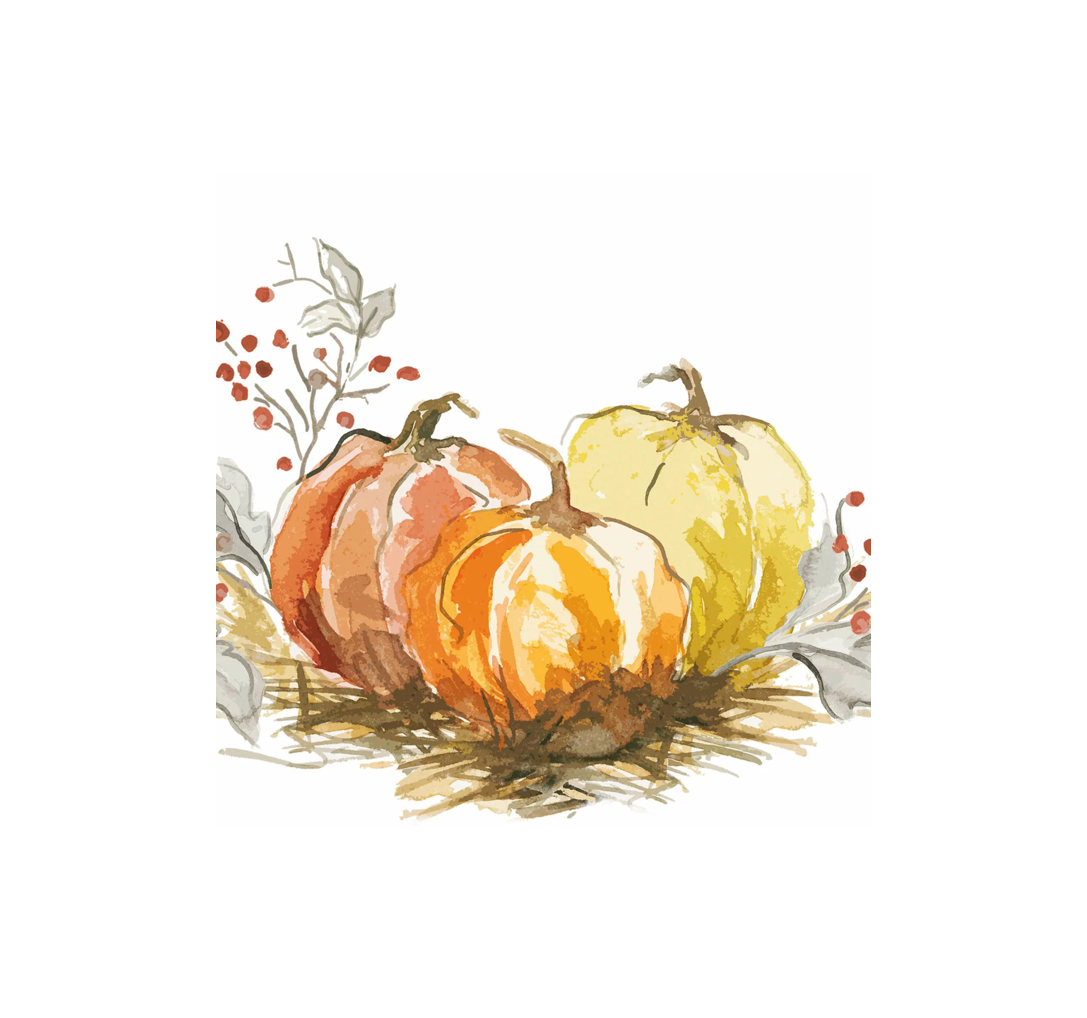 Servetter painted pumpkin Flerfärgad