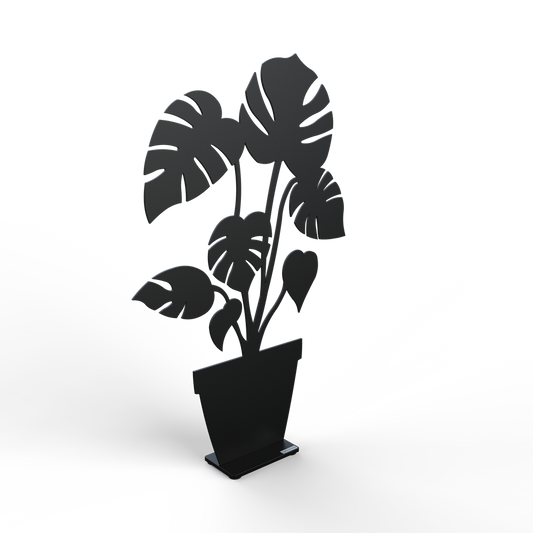 Monstera 30cm