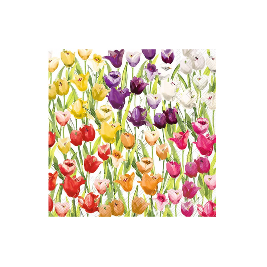Servetter tulipfield